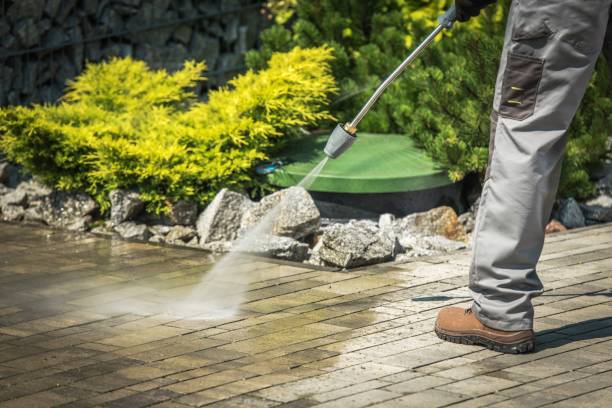 Best Driveway Pressure Washing  in Schertz, TX